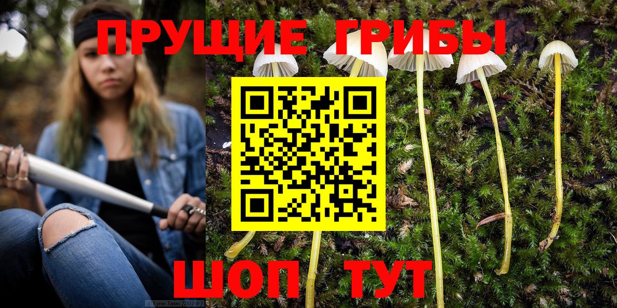 Галлюциногенные грибы GOLDEN TEACHER  закладки  Вход с VPN  Соликамск  Галлюциногенные грибы мухоморы 